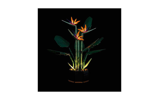Light My Bricks LED-Licht-Set für LEGO® Paradiesvogelblume 10289