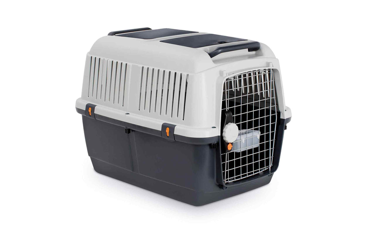 MP Bergamo Transportbox Bracco Travel 5 mit grauem Gehäuse und Gittertür aus Metall