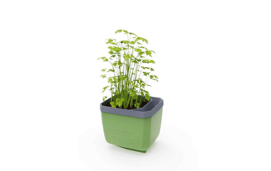 Gusta Garden Kräutertopf Keramik Dunkelgrün 15 cm Garten & Outdoor > Pflanzen > Pflanzengefäße Gusta Garden
