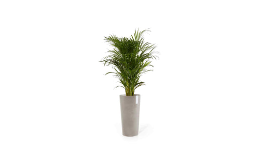 Ecopots Blumentopf Amsterdam High Ø 39.2 cm Taupe