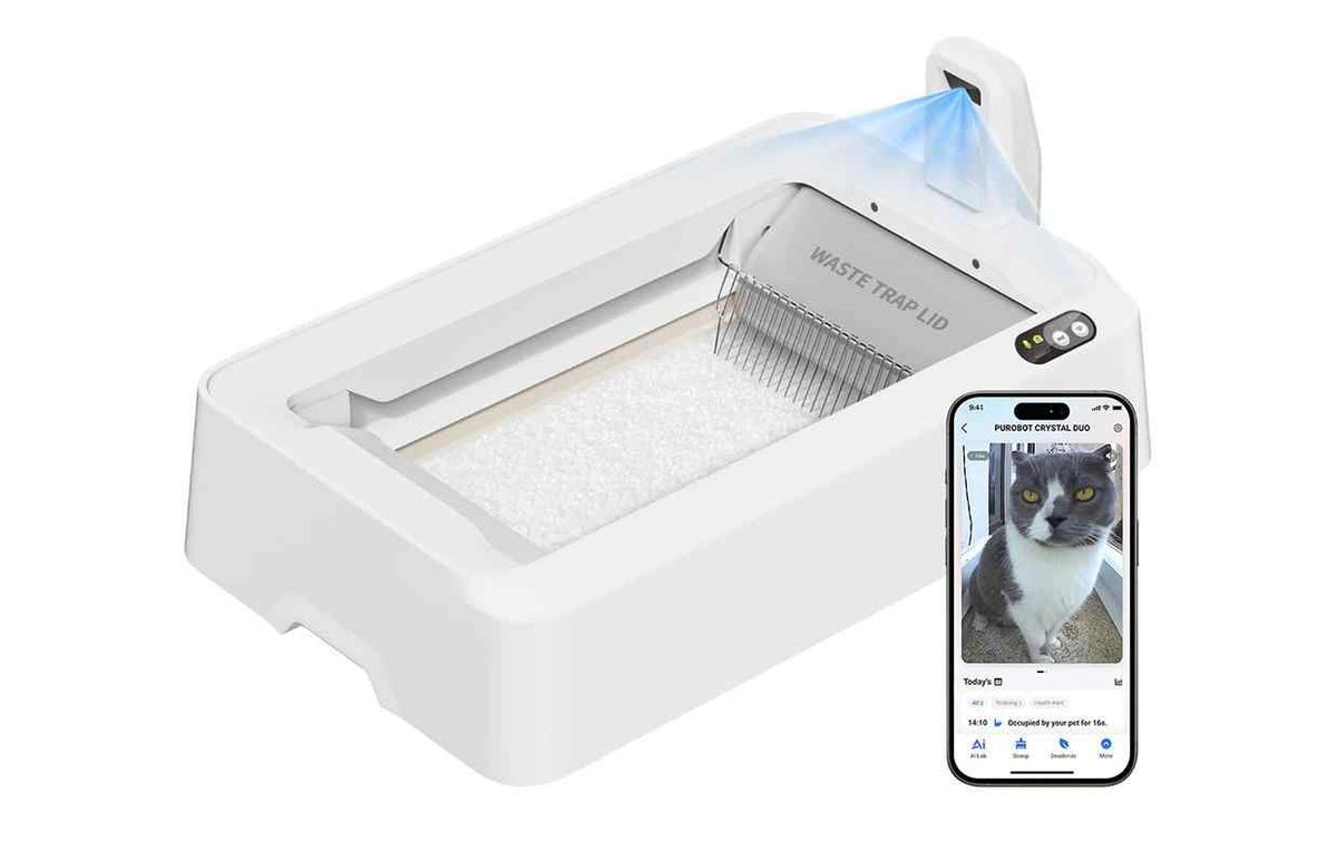 PETKIT Katzentoilette Purobot Crystal Duo, selbstreinigend
