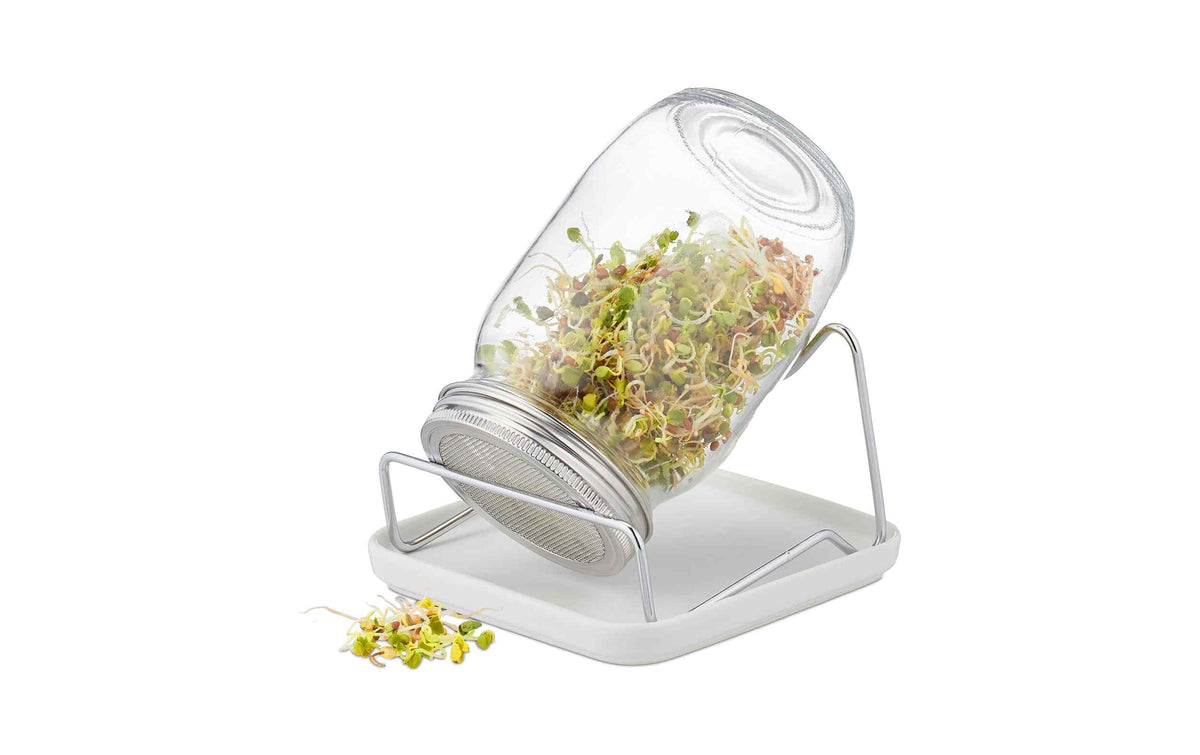 relaxdays Sprossenglas Transparent/Weiss
