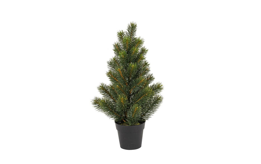 Botanic-Haus Weihnachtsbaum Tannenbaum im Topf, 41 cm