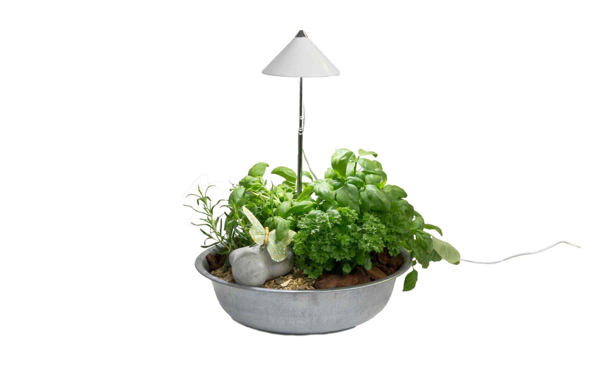 Venso Solutions SunLite Pflanzenleuchte mit weißem Schirm über Kräutern