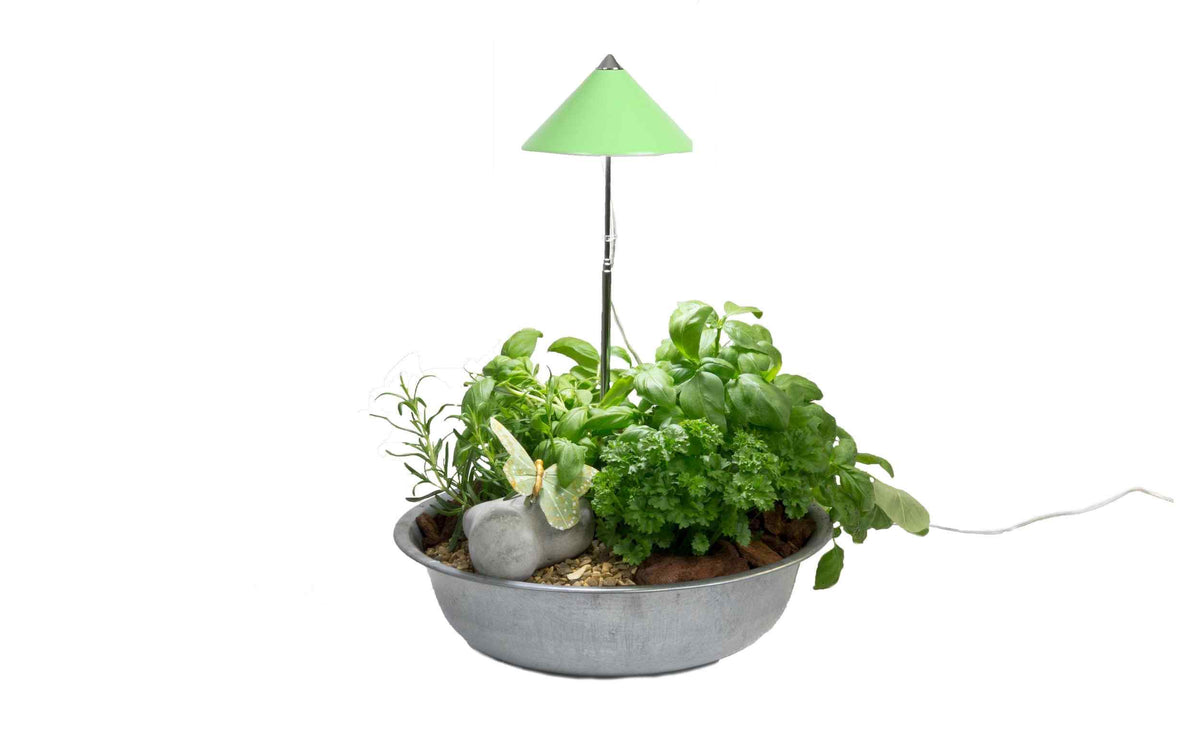 Venso Solutions SunLite Pflanzenleuchte mit grünem Schirm über Kräutertopf
