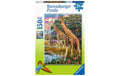 Ravensburger Bunte Savanne