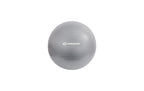 Schildkröt Fitness Gymnastikball
