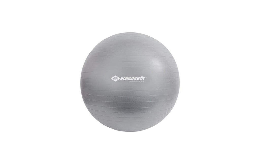 Schildkröt Fitness Gymnastikball
