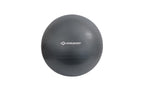 Schildkröt Fitness Gymnastikball