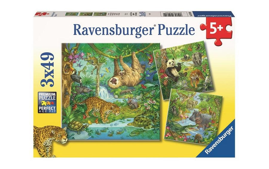 Ravensburger Im Urwald