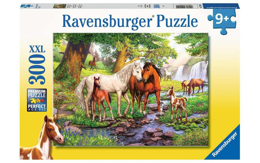 Ravensburger Wildpferde am Fluss