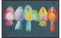 Salonlöwe Rainbow Birds Fussmatte