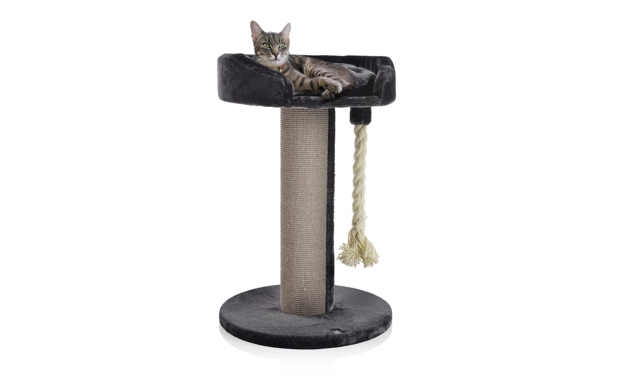 CanadianCat Kratzbaum Lounge Ontario 1