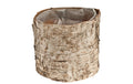 Opiflor Birkentopf Crusty Naturbirke 10 cm aus Naturbirke Garten & Outdoor > Pflanzen > Pflanzengefäße Opiflor