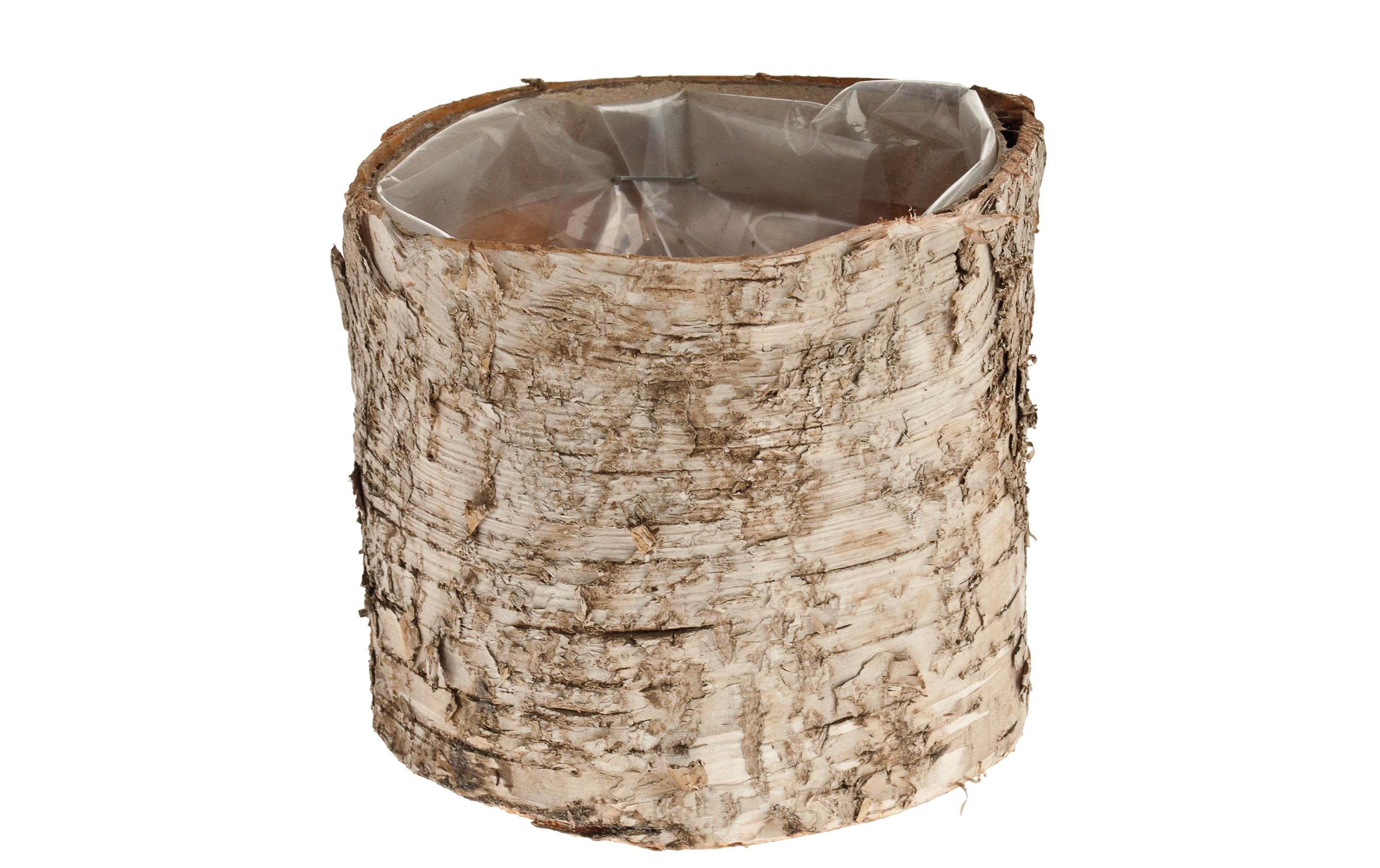 Opiflor Birkentopf Crusty Naturbirke 10 cm aus Naturbirke Garten & Outdoor > Pflanzen > Pflanzengefäße Opiflor
