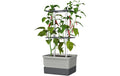 Gusta Garden Pflanzentopf hellgrau Kunststoff Starterset Garten & Outdoor > Pflanzen > Pflanzengefäße Gusta Garden