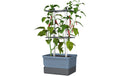 Gusta Garden CHARLY CHILI Pflanzentopf Kunststoff Blau 20 cm Garten & Outdoor > Pflanzen > Pflanzengefäße Gusta Garden