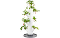 Gusta Garden SISSI STRAWBERRY Aufzuchttöpfe aus umweltfreundlichem Kunststoff in Weiß, 10 cm Garten & Outdoor > Pflanzen > Pflanzengefäße Gusta Garden