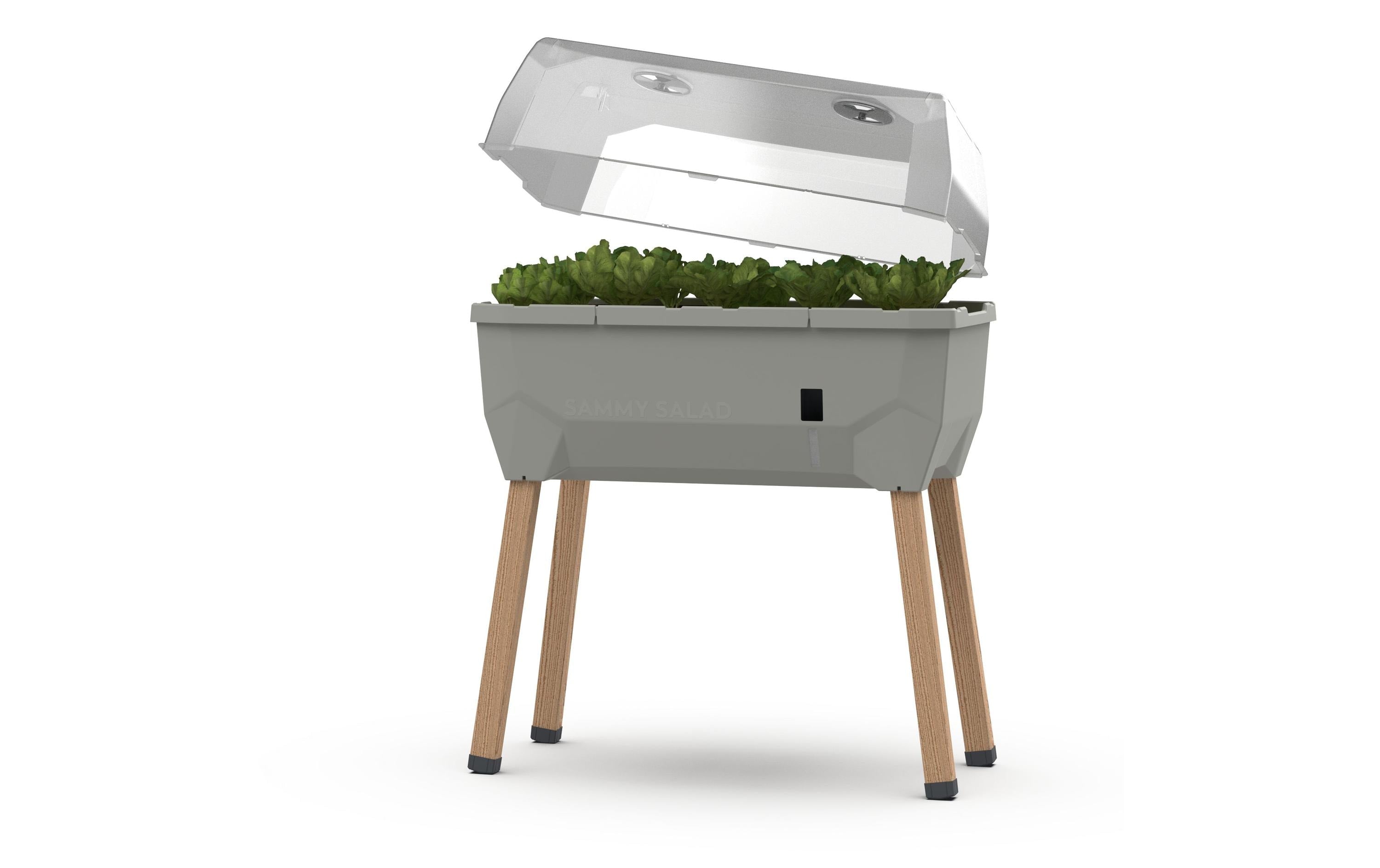 Gusta Garden Hochbeet SAMMY SALAD Starterset, Hellgrau