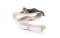 CanadianCat Kratzmöbel Set Orbit & Satellite