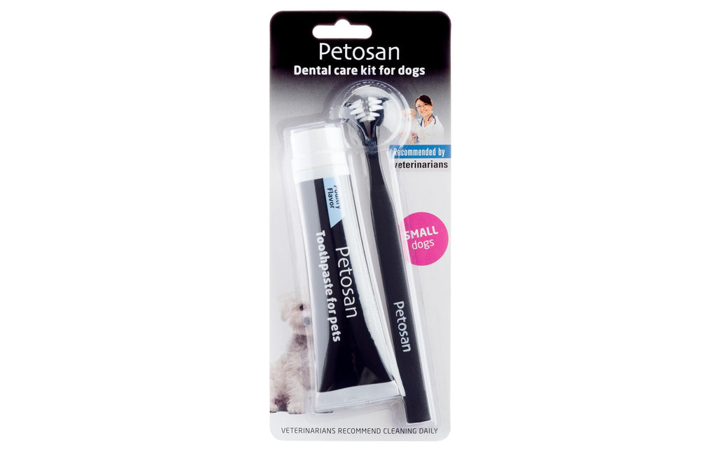 Petosan Zahnreinigung Dental Kit