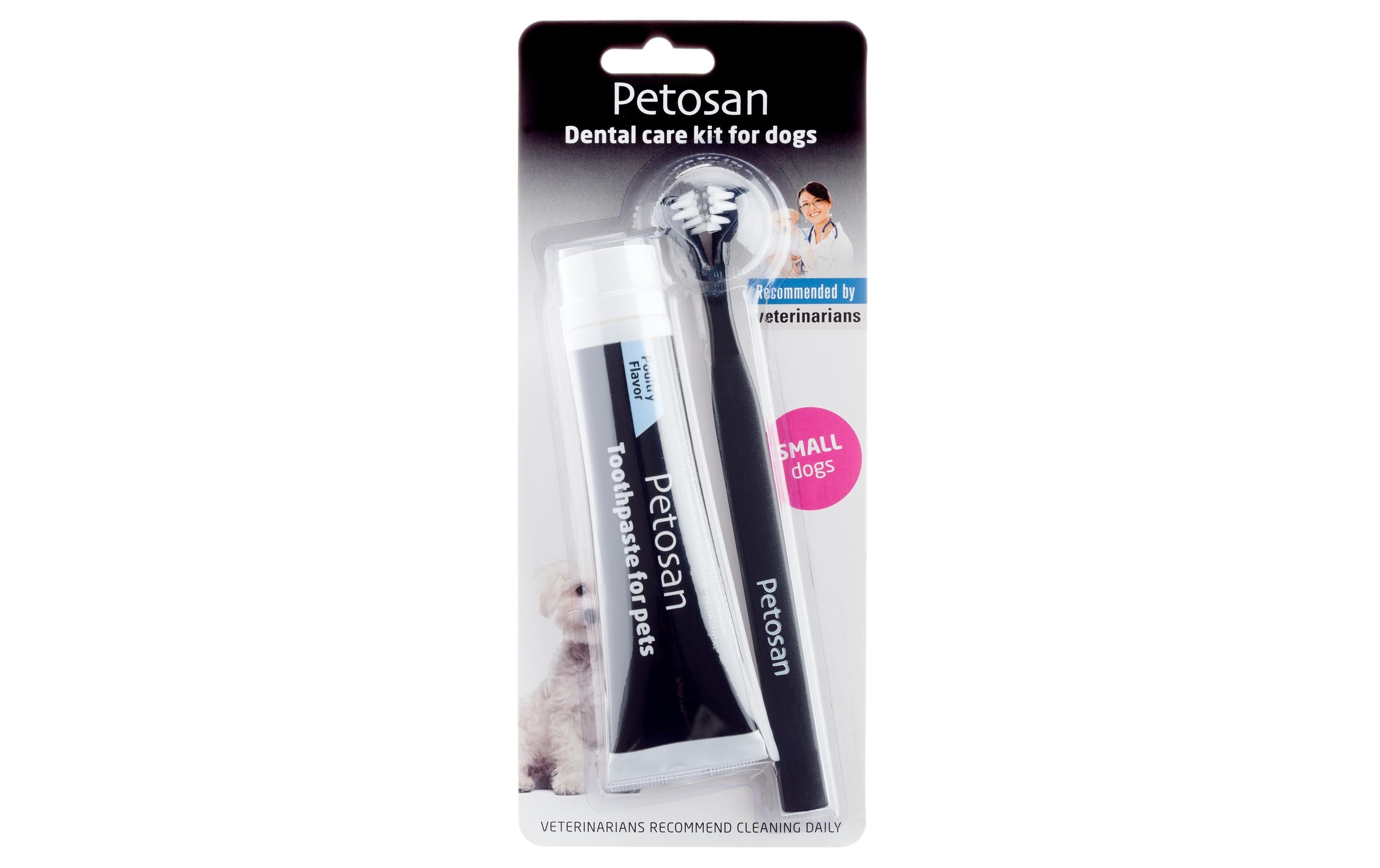 Petosan Zahnreinigung Dental Kit