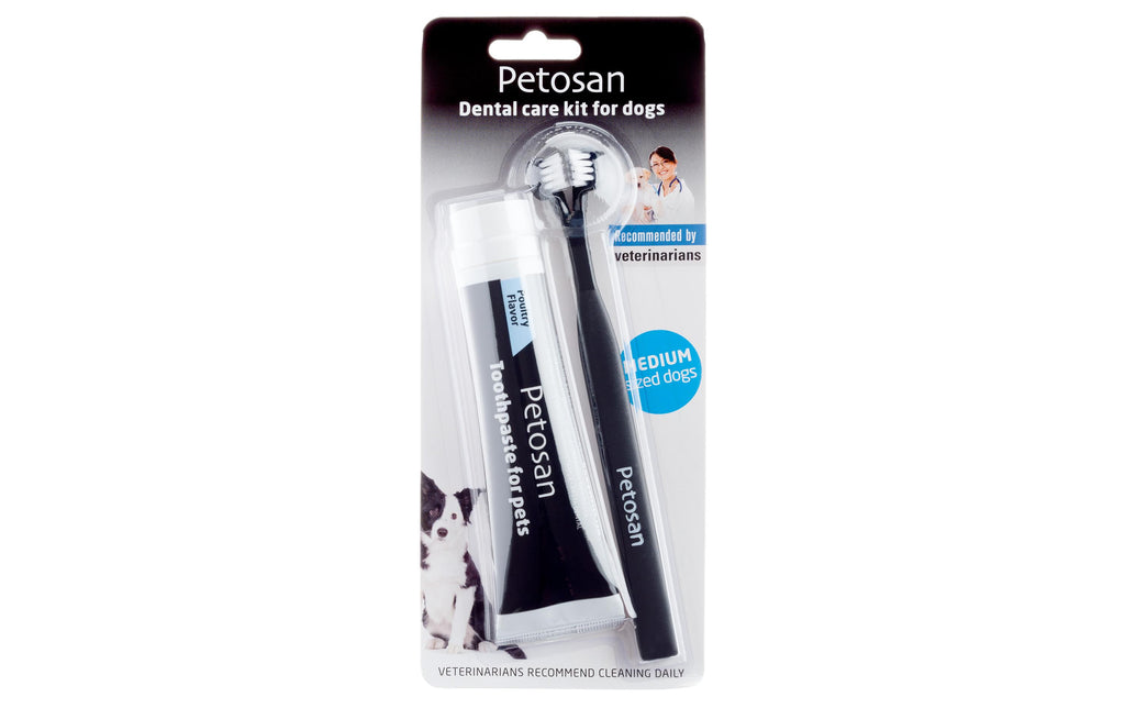 Petosan Zahnreinigung Dental Kit