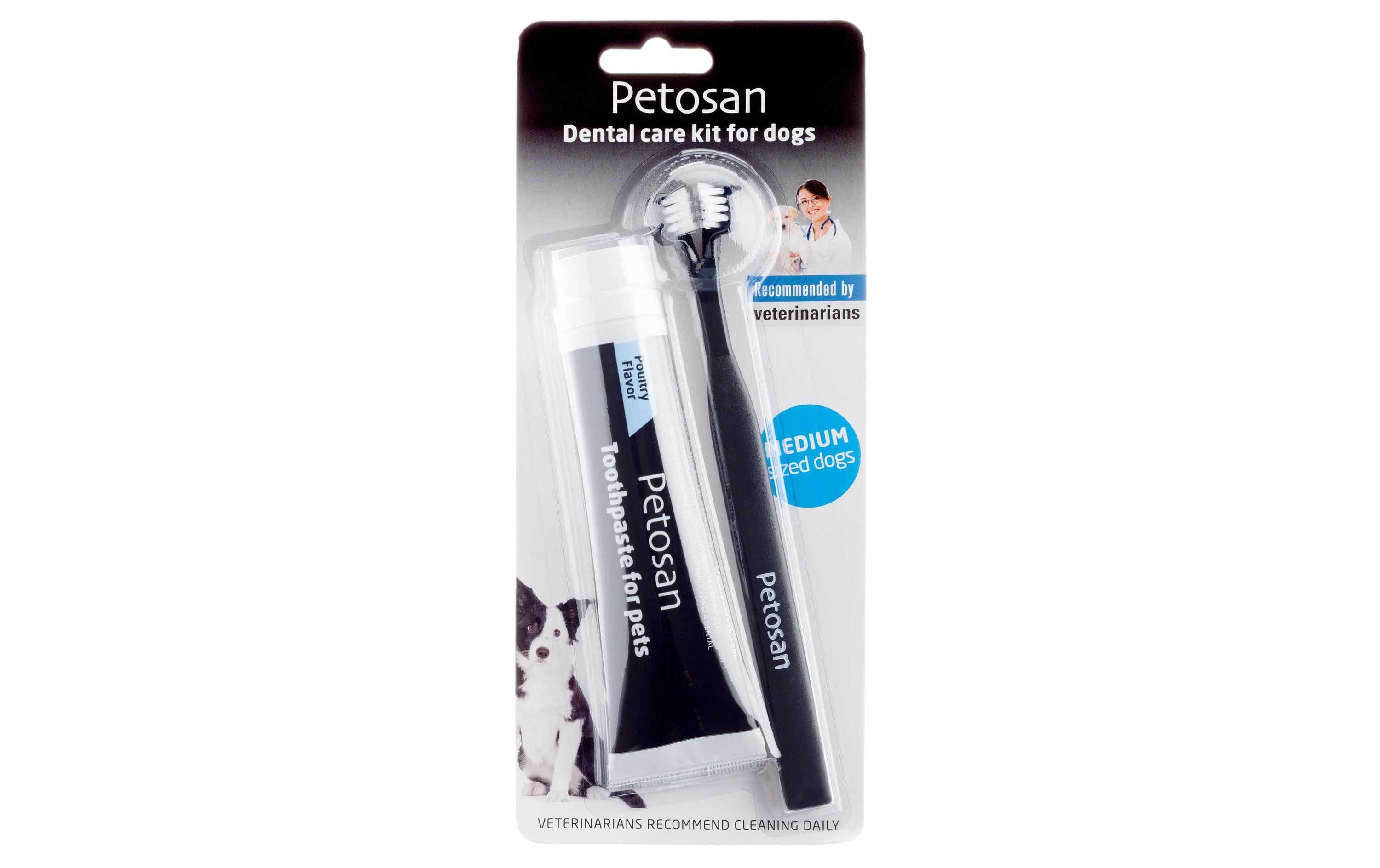 Petosan Zahnreinigung Dental Kit