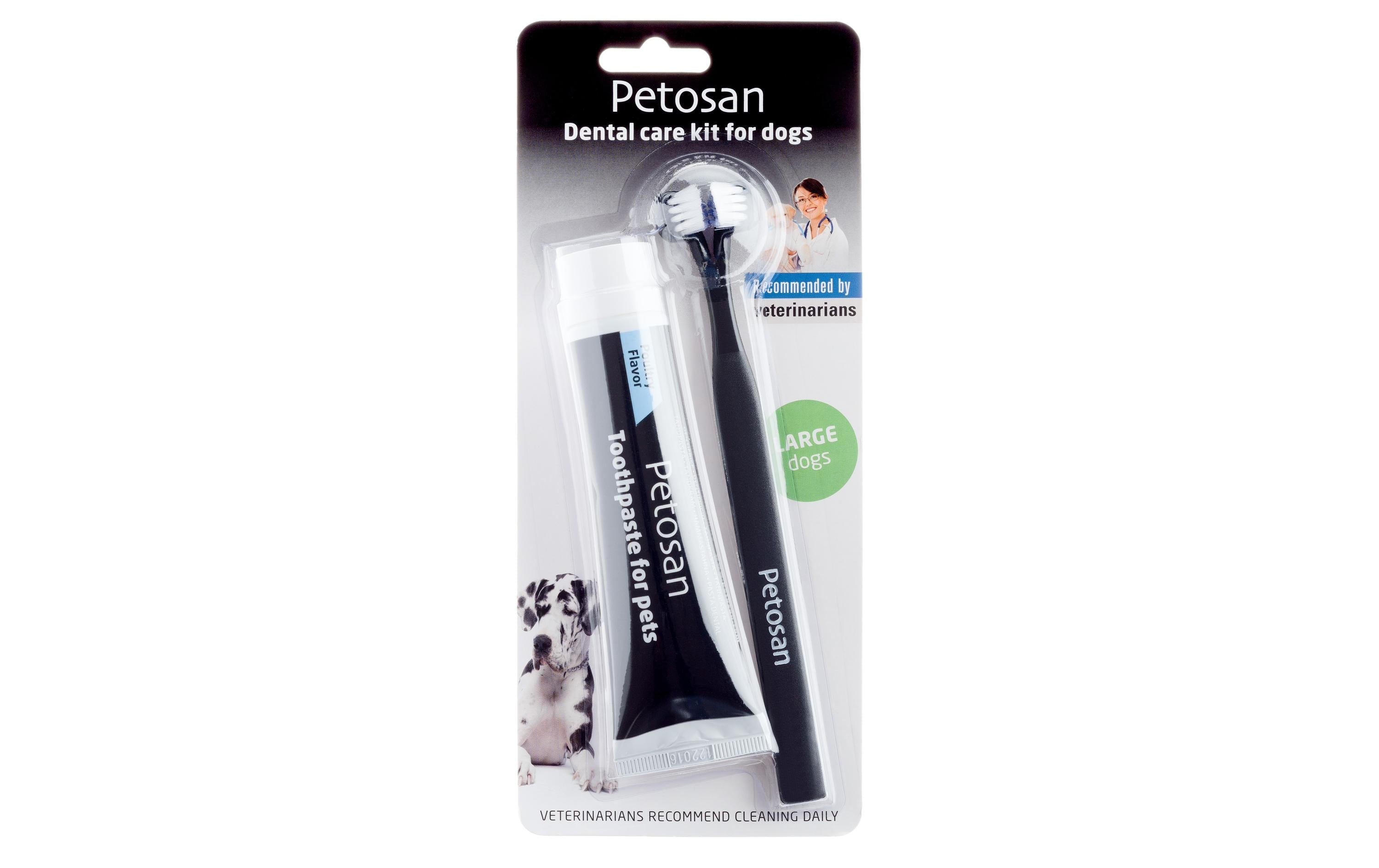 Petosan Zahnreinigung Dental Kit