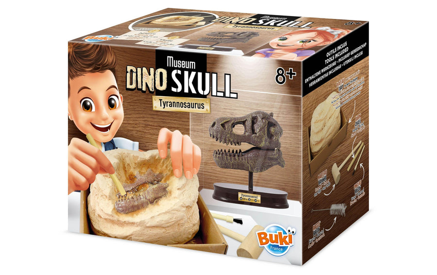 Buki Experimentierkasten Dinosaurierschädel – Tyrannosaurus