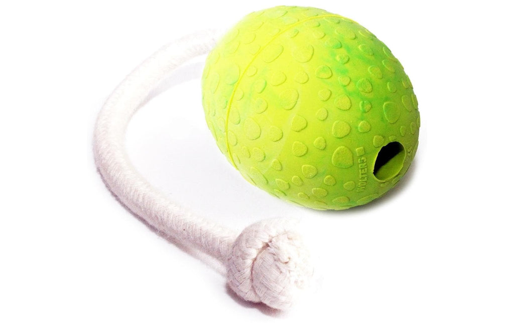Wolters Hunde-Spielzeug Straussenei mit Seil, M