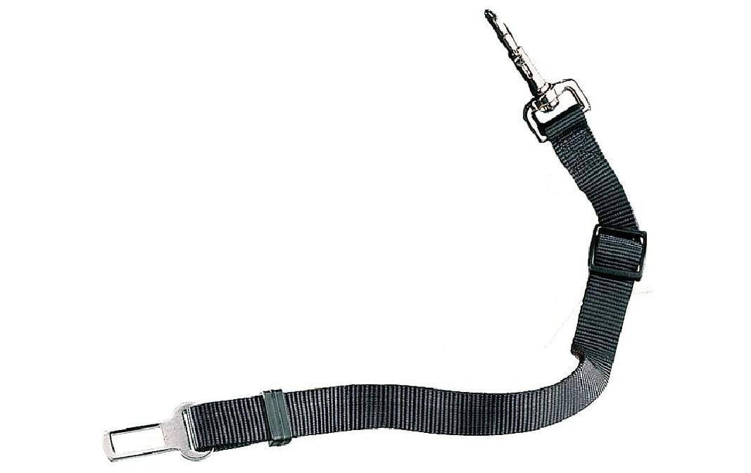 Nobby Sicherheitsgurt Polyester schwarz 60-100 cm Sport & Freizeit > Freizeit > Zubehör Nobby
