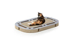 CanadianCat Katzen-Strategiespiel Playplate