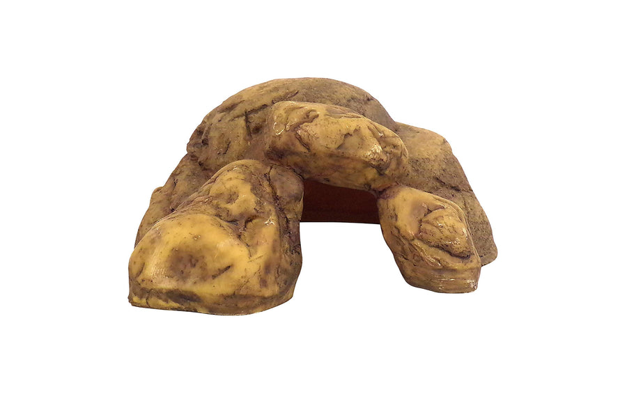 Exo Terra Höhle Reptile Cave L, 10 x 26 x 19 cm