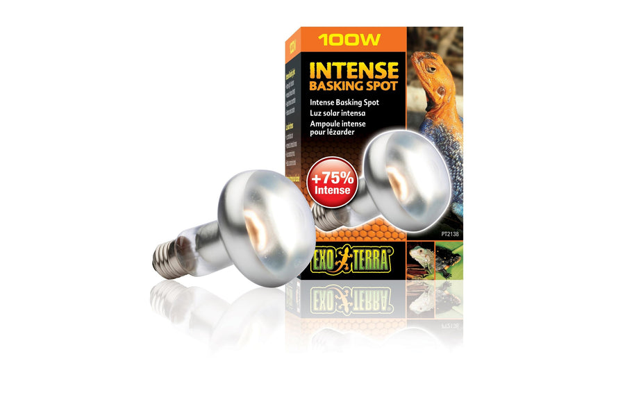 Exo Terra Terrarienlampe Intense Basking Spot E27, R25/100W