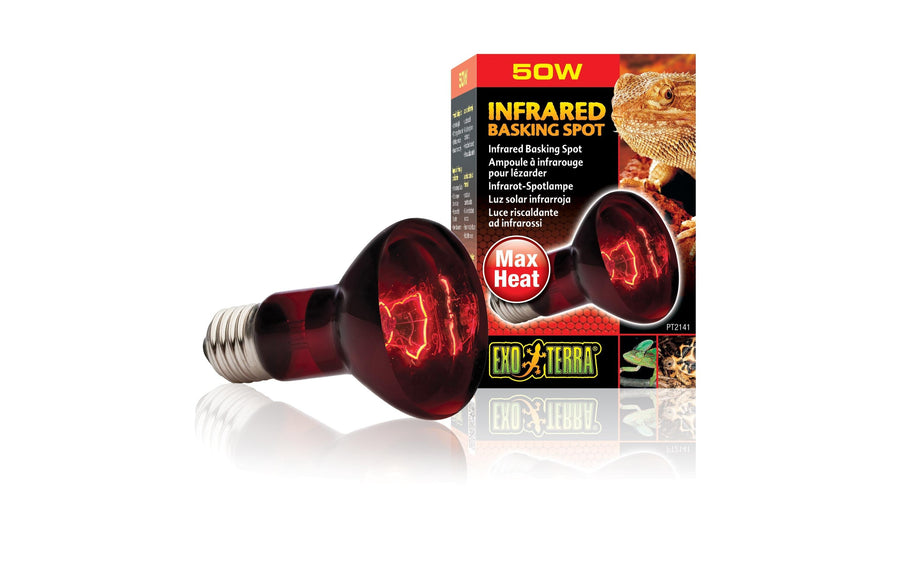 Exo Terra Terrarienlampe Infrared Basking Spot E27, R20/50W