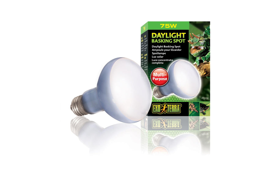 Exo Terra Terrarienlampe Daylight Basking Spot E27, R20/75W