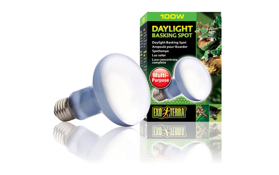 Exo Terra Terrarienlampe Daylight Basking Spot E27, R25/100W