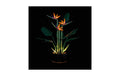 Light My Bricks LED-Licht-Set für LEGO® Paradiesvogelblume 10289