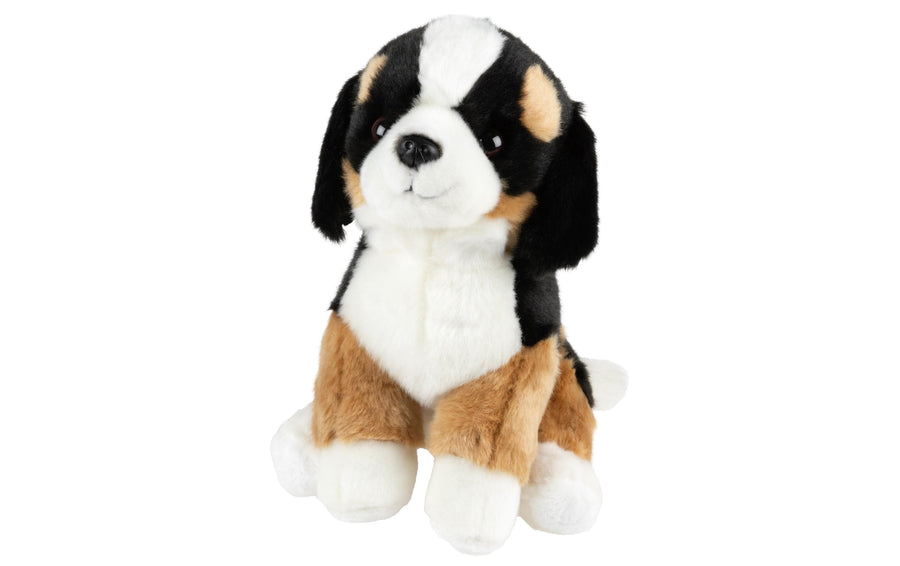 Leo Brummbär Plüsch Sennenhund