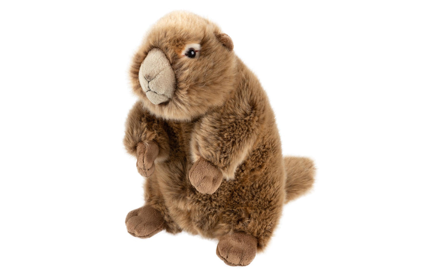 Leo Brummbär Plüsch Murmeltier 25 cm
