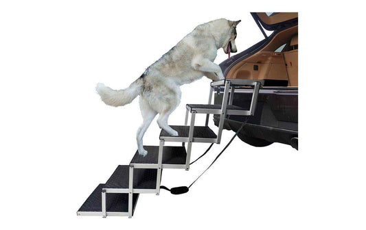 SwissPet Hundetreppe mit sechs schwarzen Stufen und Aluminiumrahmen neben einem Auto