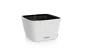 Lechuza Blumentopf Bacino Cottage 30