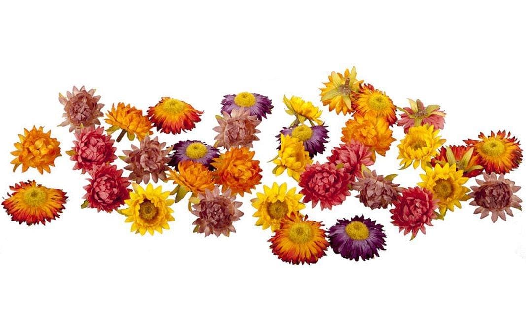 Dekomat Strohblüten, Herbstfarben, 36 Stück im Beutel, Stoff, Kunststoff, D: 5 cm