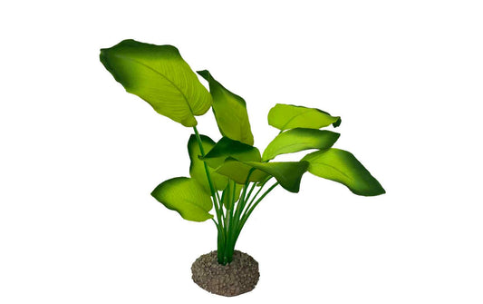AquaDella Anubias 3 Kunstpflanze mit breiten grünen Blättern und beschwertem Fuß, 20 cm