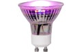 Star Trading Leuchtmittel LED Pflanzen GU10, 3.5 W, 42 lm