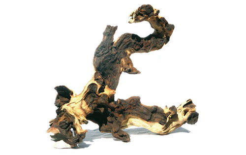 AMAZONAS Dekoration Mopani Holz L, 35-50 cm