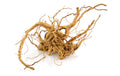 AMAZONAS Dekoration Finger-Wurzel S, 20-30 cm