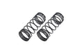 Hobbytech Rear shocks springs Rogue Terra