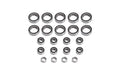 Hobbytech Ball bearing set Rogue Terra